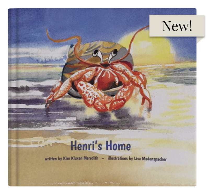 henris-home-cover